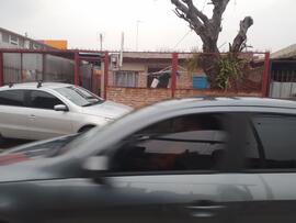Fotografía 041: Ojo de Perro