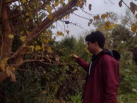 Fotografía 168: Ojo de Perro