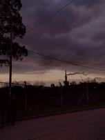 Fotografía 215: Ojo de Perro