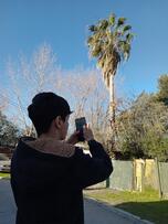 Fotografía 070: Ojo de Perro
