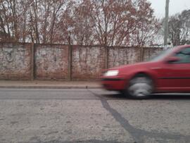 Fotografía 035: Ojo de Perro