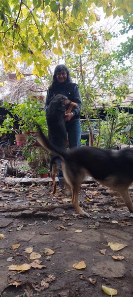 Fotografía 167: Ojo de Perro
